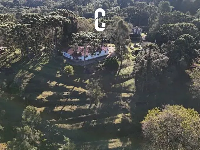 Terreno com 60000m², à venda, no bairro Vila Natal em Campos Do Jordão