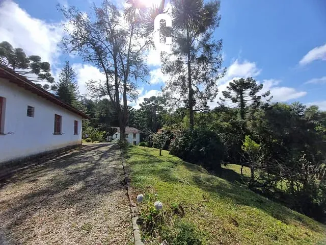 Terreno com 60000m², à venda, no bairro Vila Natal em Campos Do Jordão