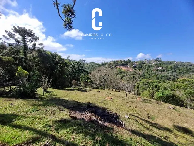 Terreno com 60000m², à venda, no bairro Vila Natal em Campos Do Jordão