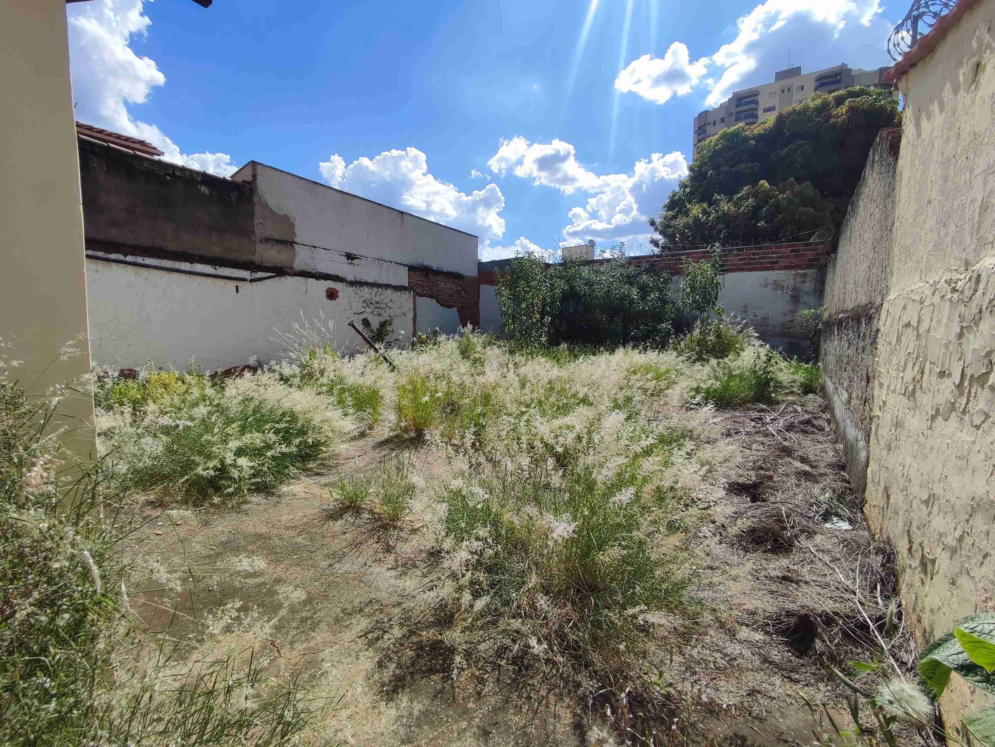 Casa, 4 quartos, 400 m² - Foto 19