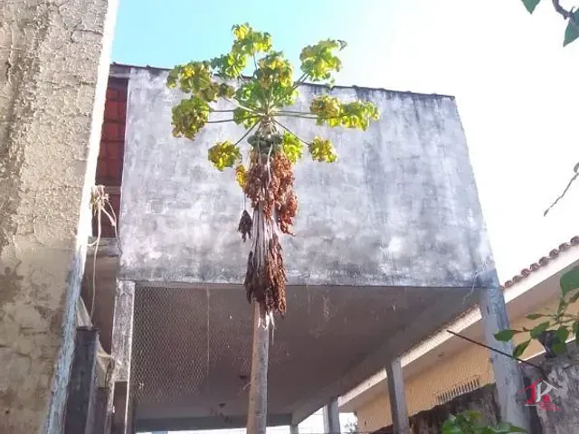 Casa 2 quartos e 2 banheiros, à venda, no bairro Jardim Abaeté em Sorocaba