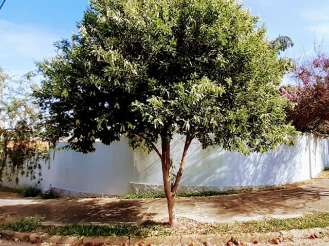 Casa com 792m² 3 quartos e 2 banheiros, à venda, no bairro Colina Verde em Tatuí