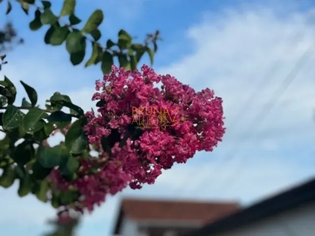 Casa 2 quartos e 1 banheiro, para alugar, no bairro Centro em Sapiranga