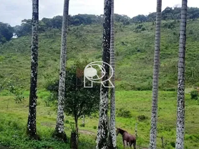 Casa à venda, no bairro Centro em Registro