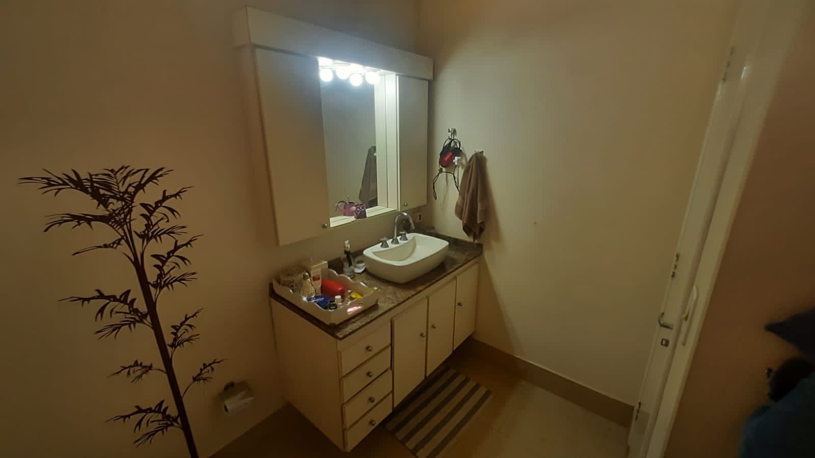 Casa, 3 quartos, 364 m² - Foto 13