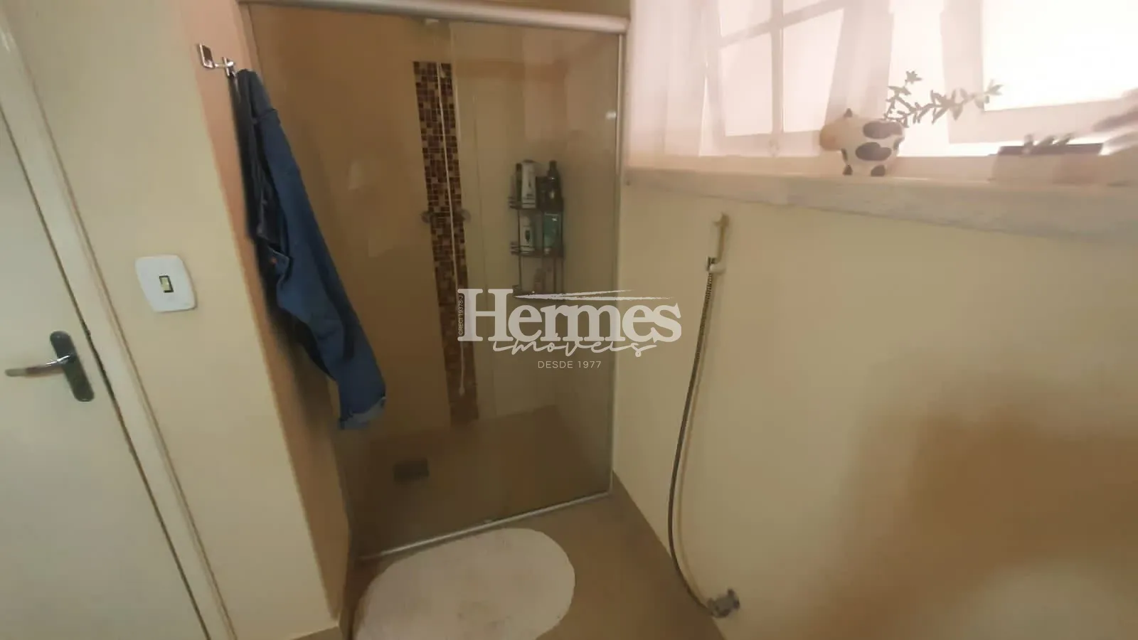 Casa, 3 quartos, 364 m² - Foto 10