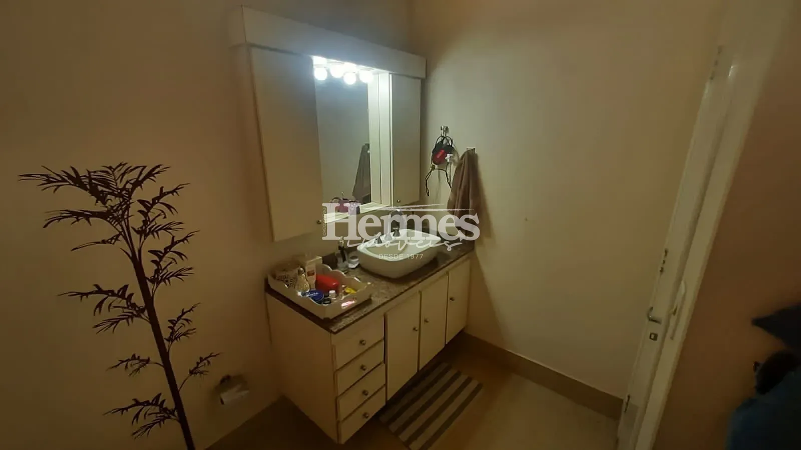 Casa, 3 quartos, 364 m² - Foto 13
