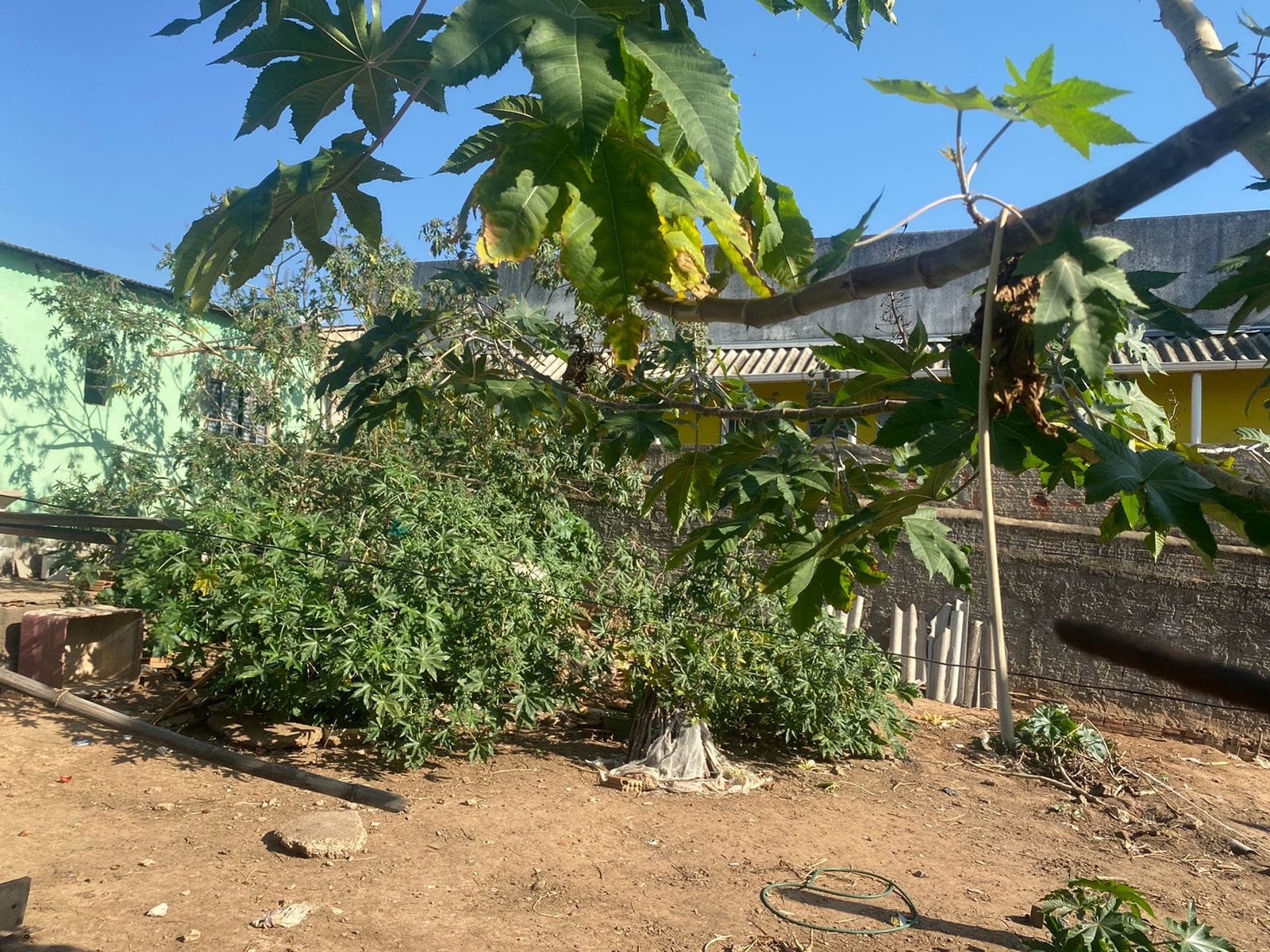 Casa, 1 quarto, 60 m² - Foto 7