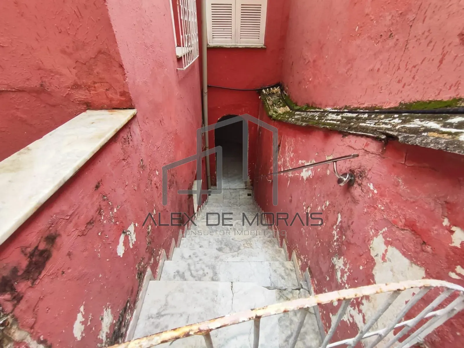 Casa, 3 quartos, 360 m² - Foto 23
