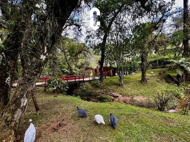 Casa com 36330m² 7 quartos e 7 banheiros, à venda, no bairro Jardim Cataguases em Campos Do Jordão