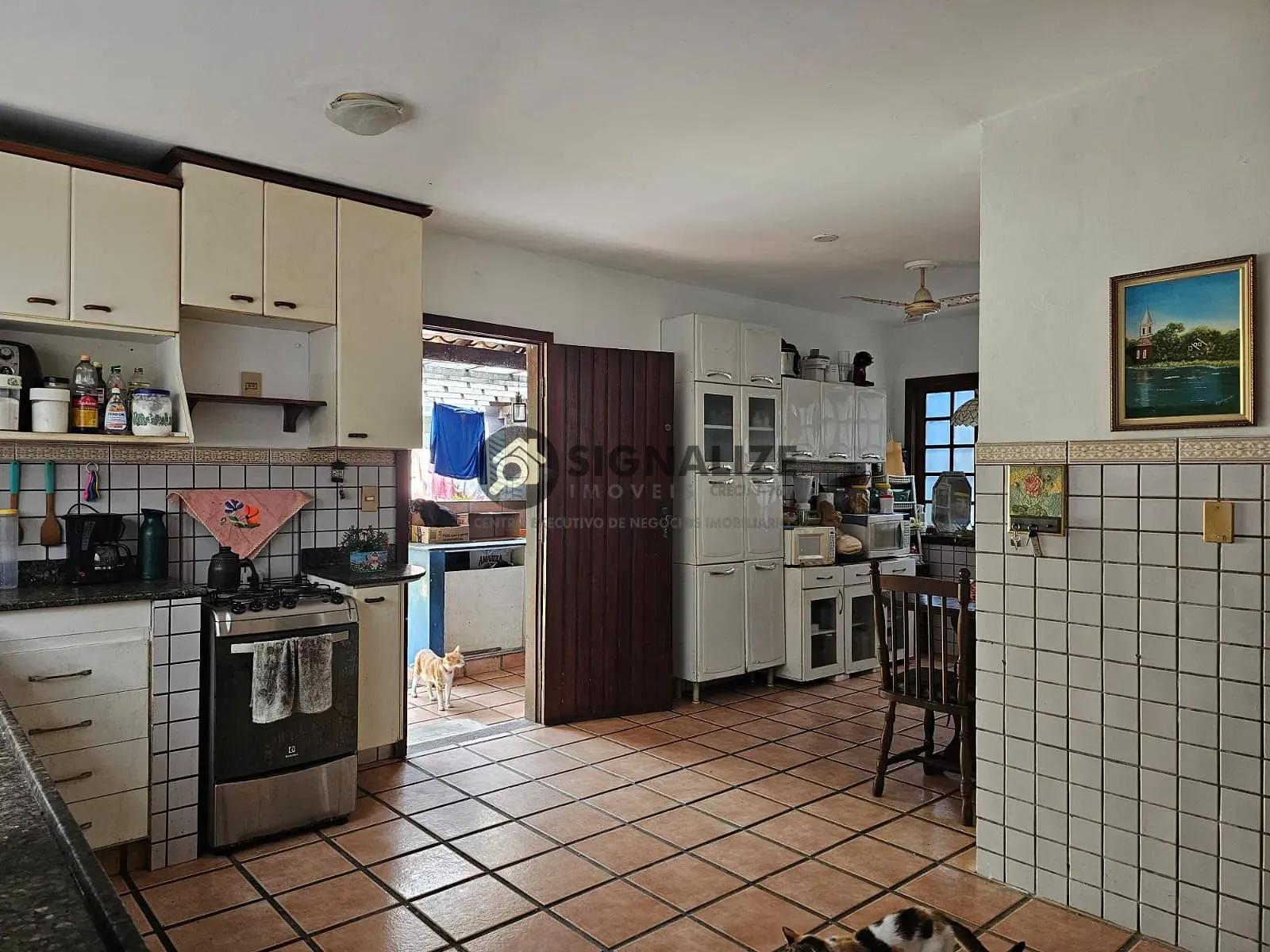Casa, 4 quartos, 220 m² - Foto 17