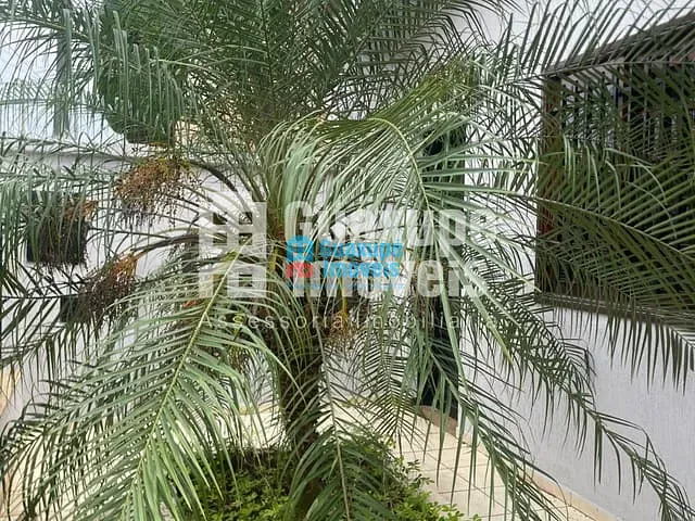 Casa com 210m² 4 quartos e 3 banheiros, à venda, no bairro Jardim Nova Guaxupé em Guaxupé