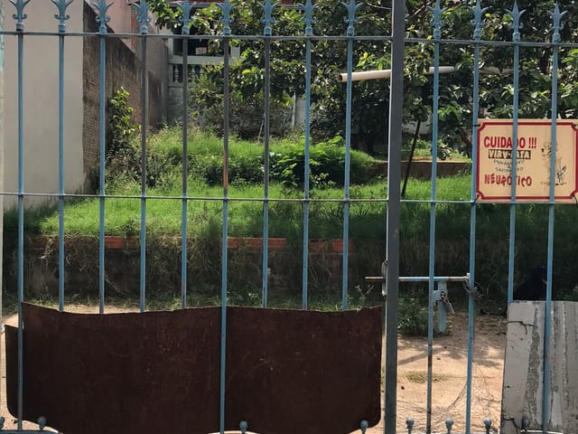 Casa com 250m² 1 quarto e 1 banheiro, à venda, no bairro Jardim Nova Esperança em Campinas
