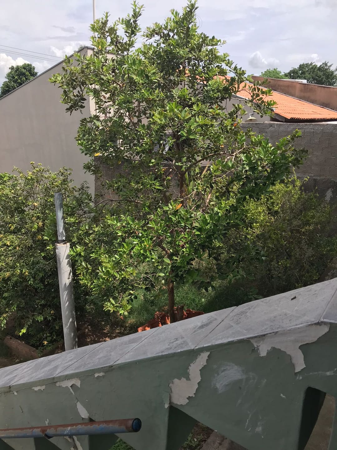 Casa à venda com 1 quarto, 90m² - Foto 15