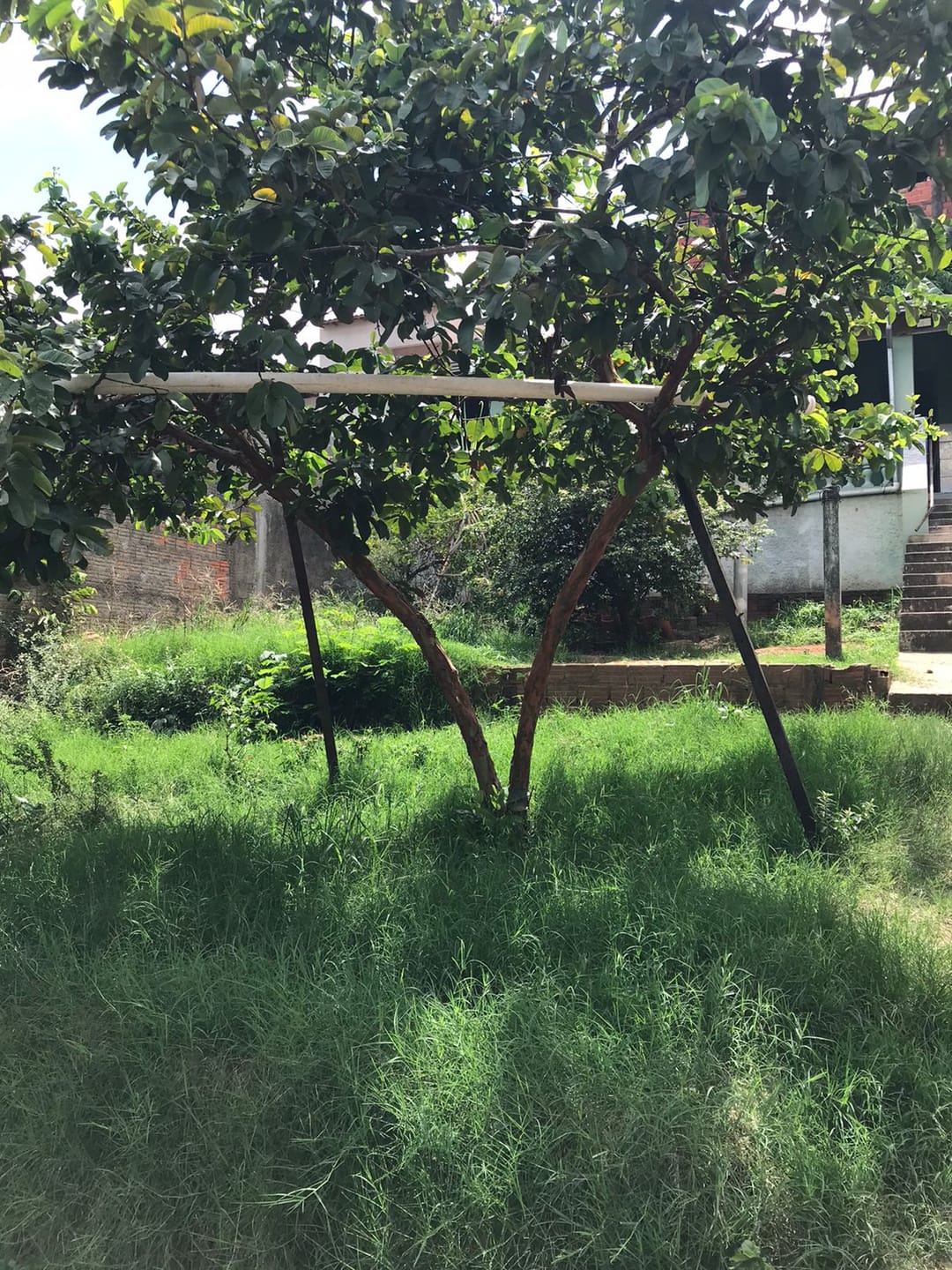 Casa à venda com 1 quarto, 90m² - Foto 7
