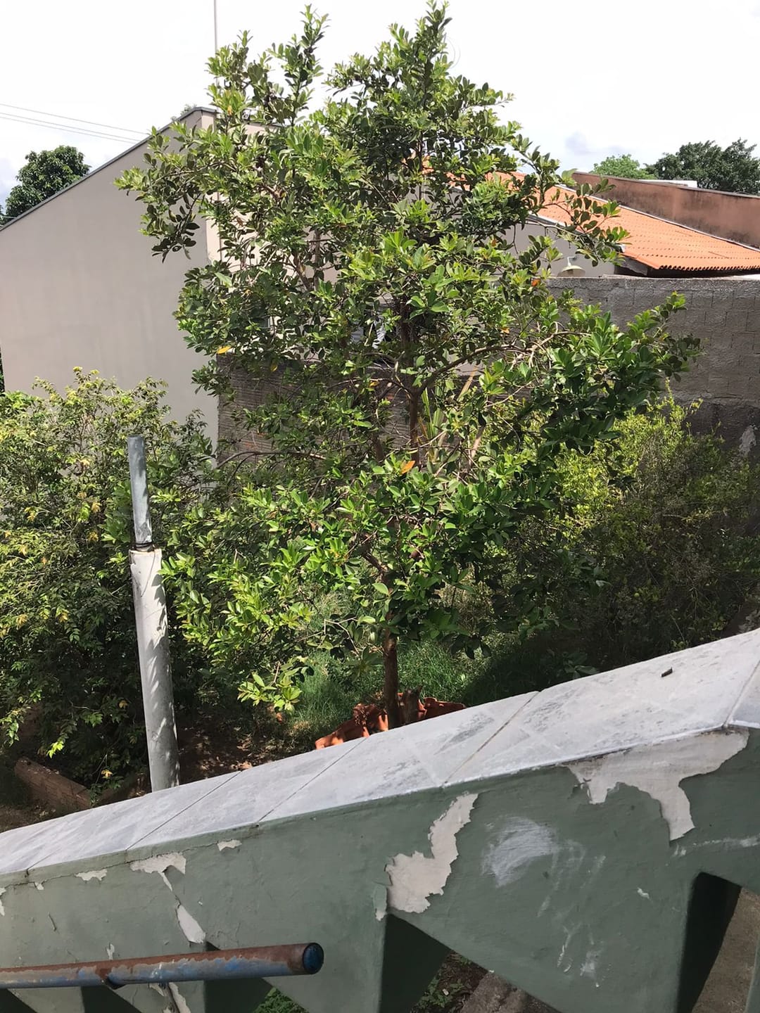 Casa à venda com 1 quarto, 90m² - Foto 18