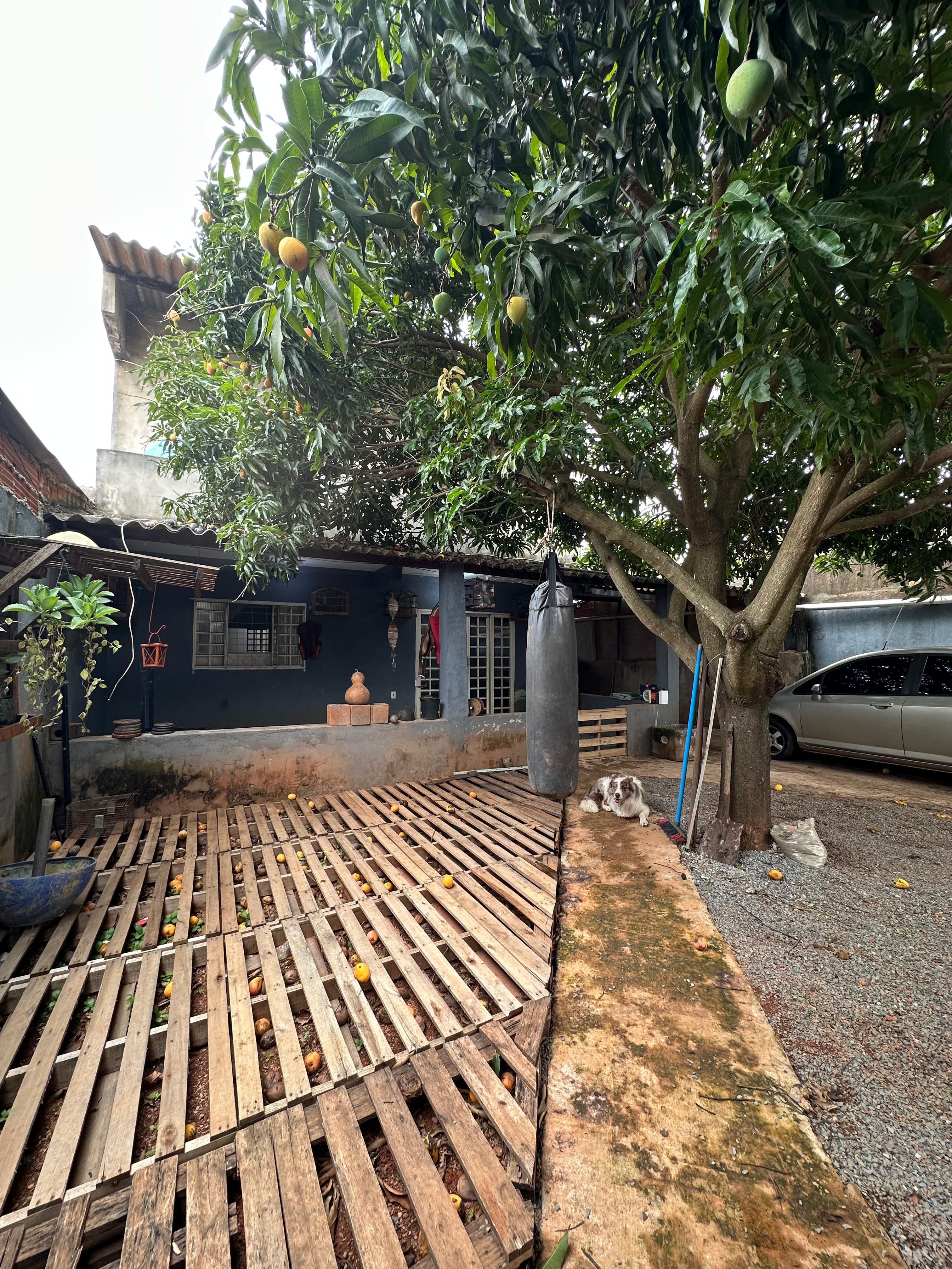 Casa, 4 quartos, 150 m² - Foto 10