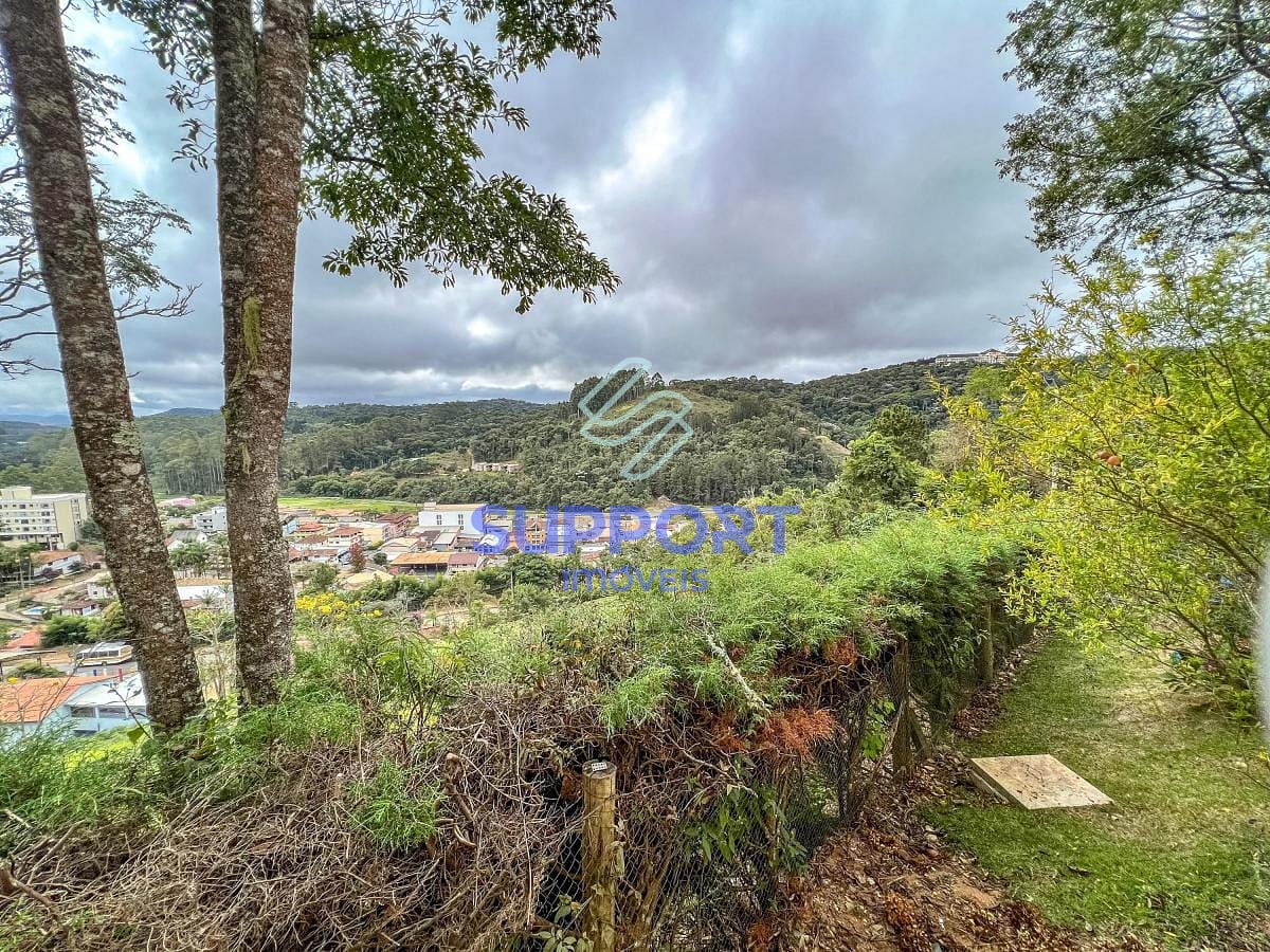 Casa à venda com 6 quartos, 370m² - Foto 51