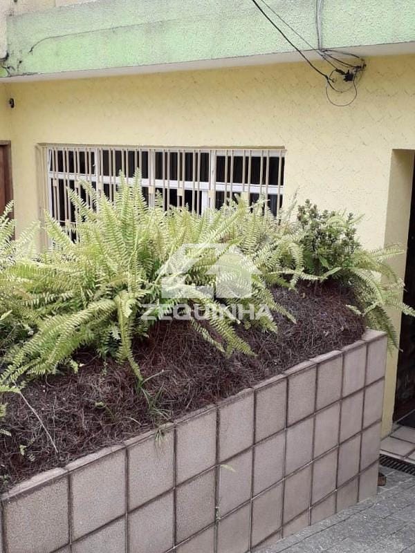 Casa à venda com 4 quartos, 150m² - Foto 19