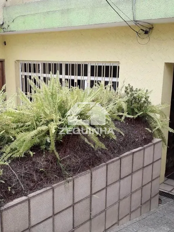 Casa, 4 quartos, 150 m² - Foto 19