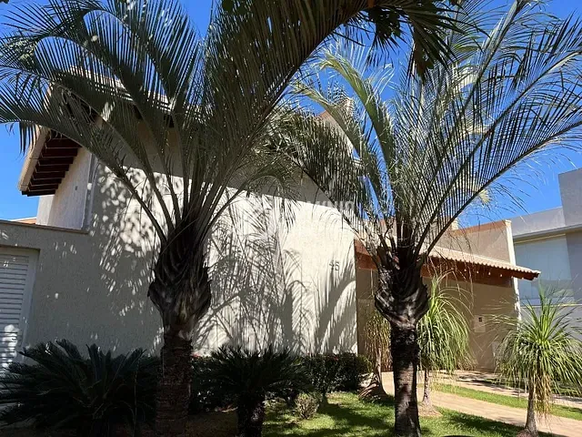 Casa com 391m² 3 quartos e 4 banheiros, à venda, no bairro Damha Residencial Uberaba II em Uberaba