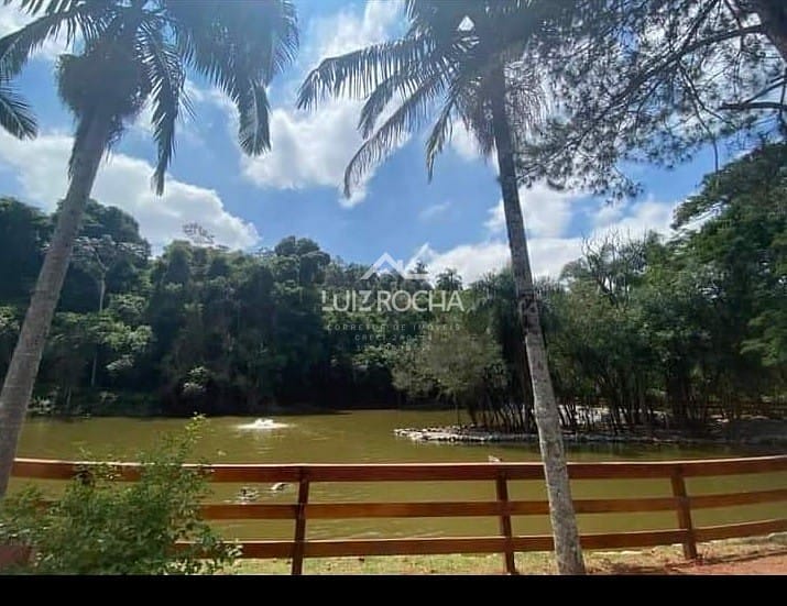 Casa, 5 quartos, 285 m² - Foto 47