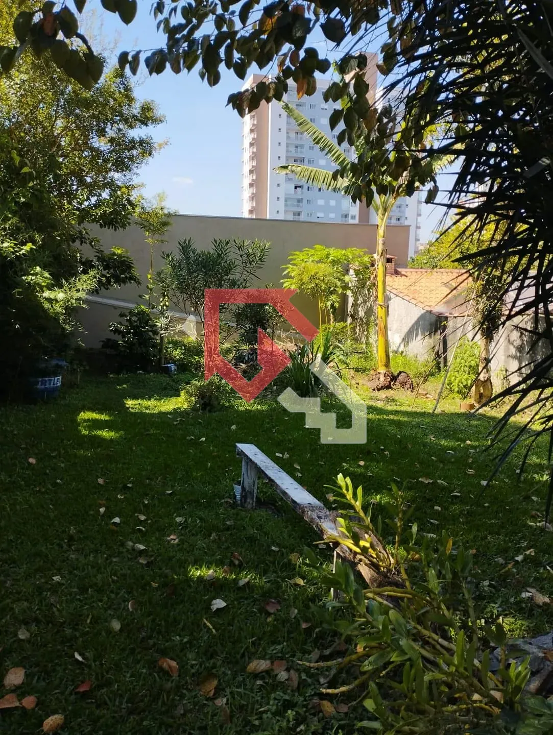 Casa, 2 quartos, 500 m² - Foto 3