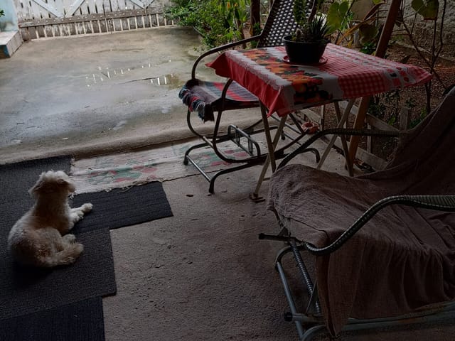 Casa 2 quartos e 2 banheiros, à venda, no bairro Campo Grande em Rio de Janeiro