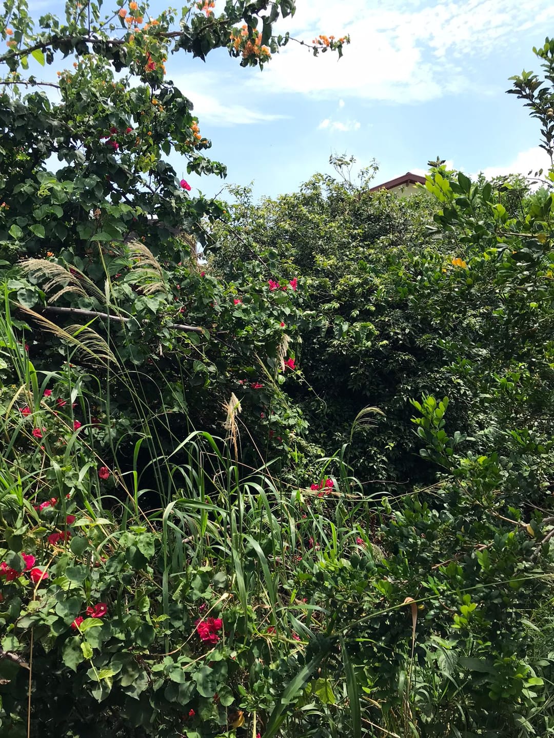 Casa, 2 quartos, 346 m² - Foto 22