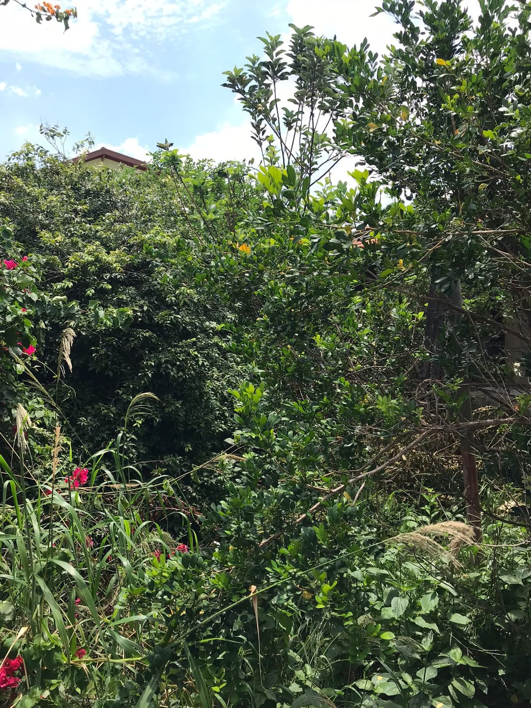 Casa, 2 quartos, 346 m² - Foto 23