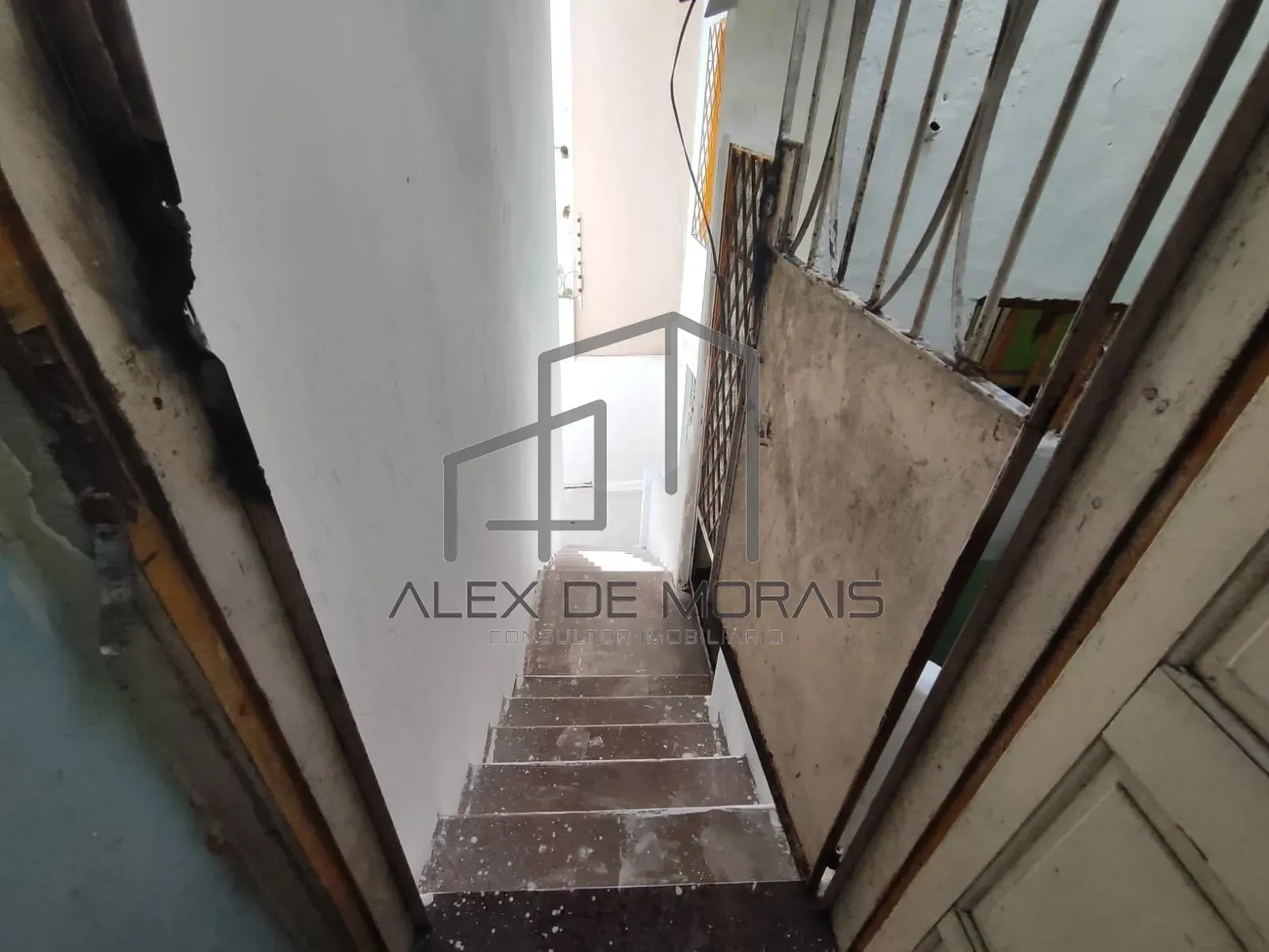 Casa, 5 quartos, 400 m² - Foto 18