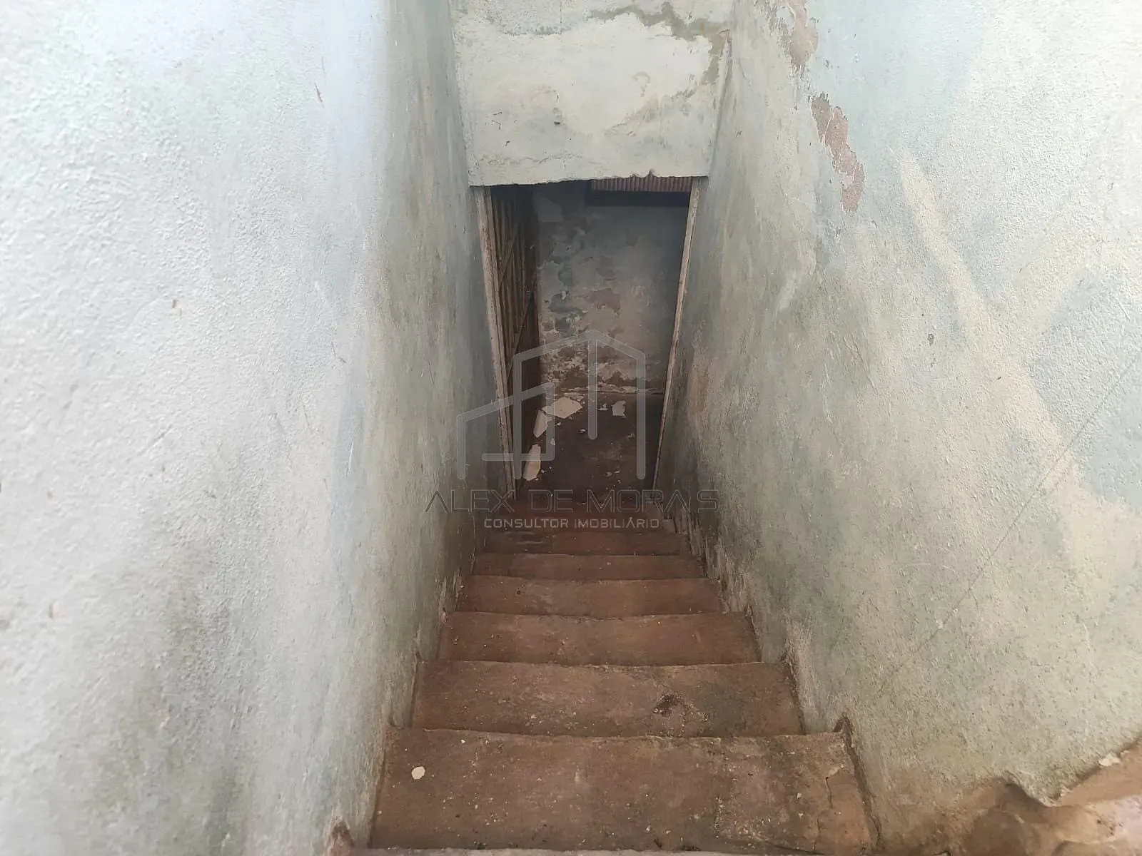 Casa, 5 quartos, 400 m² - Foto 19