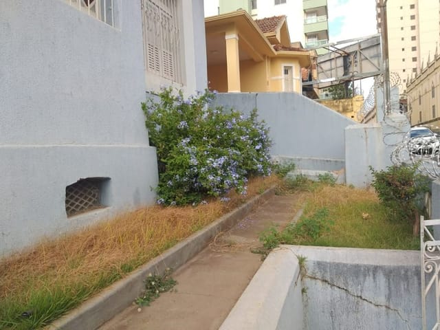 Foto do Casa - Casa central, resicencial ou comercial. | DOMINIO ZAGO IMOVEIS LTDA