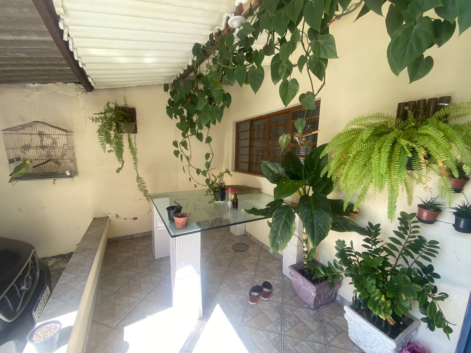 Casa, 2 quartos, 260 m² - Foto 29