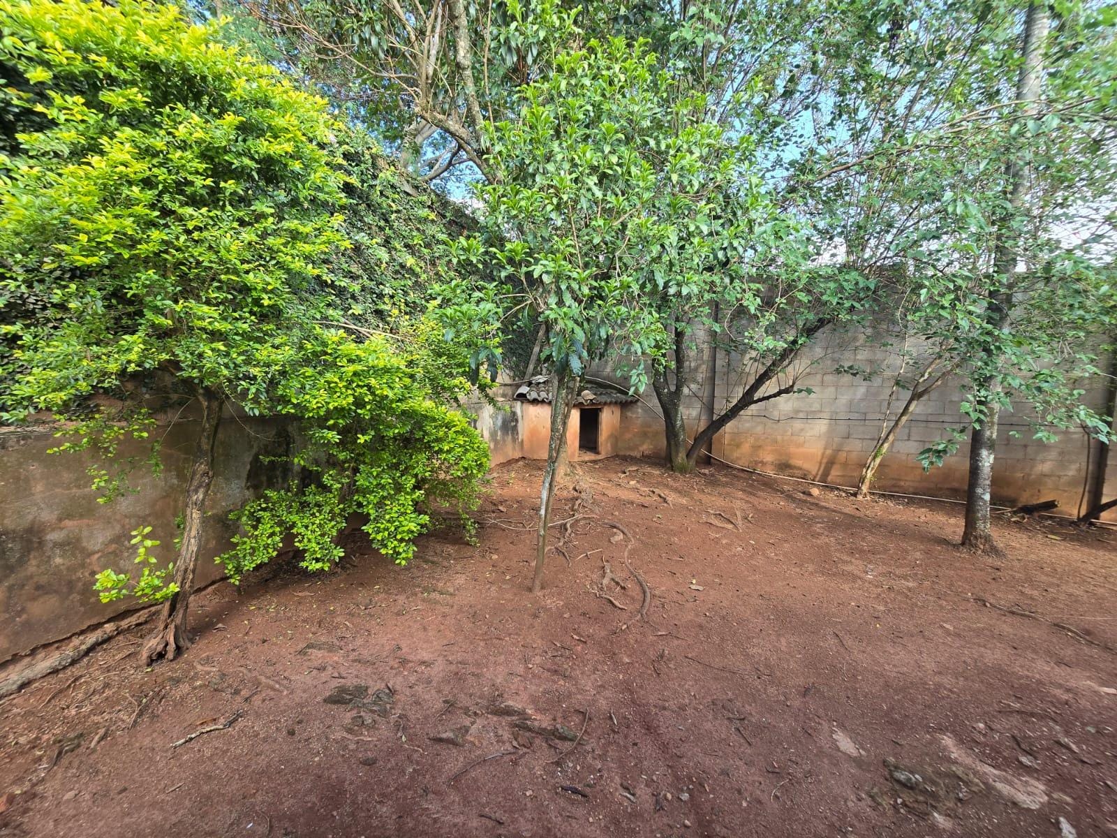 Casa, 4 quartos, 480 m² - Foto 26