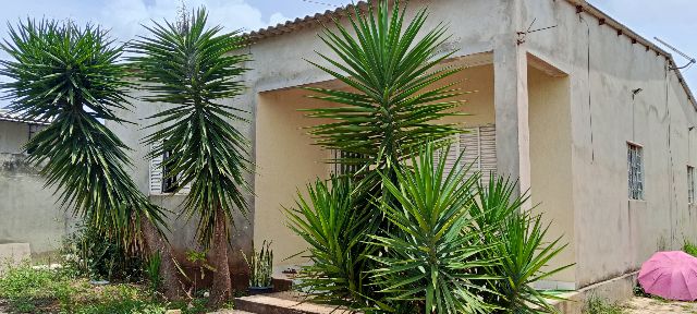 Casa 3 quartos e 2 banheiros, à venda, no bairro Ponte Alta Norte (Gama) em Brasília