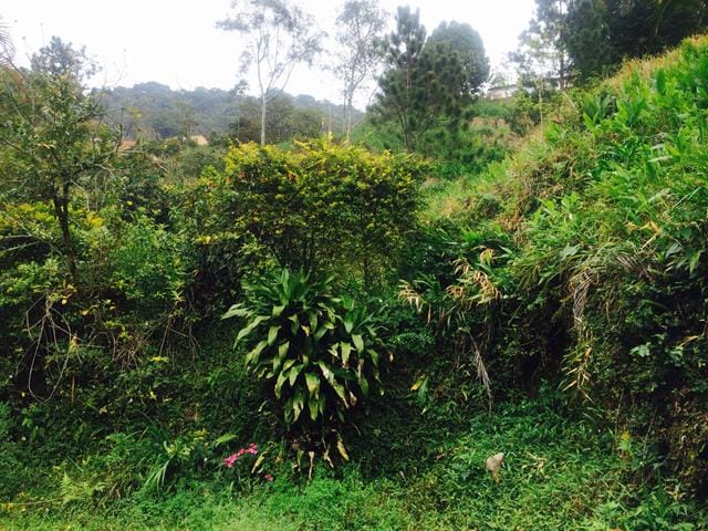 Casa com 93000m² 3 quartos e 1 banheiro, à venda, no bairro Mosela em Petrópolis