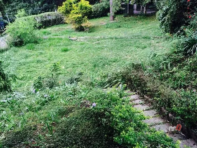Casa com 93000m² 3 quartos e 1 banheiro, à venda, no bairro Mosela em Petrópolis