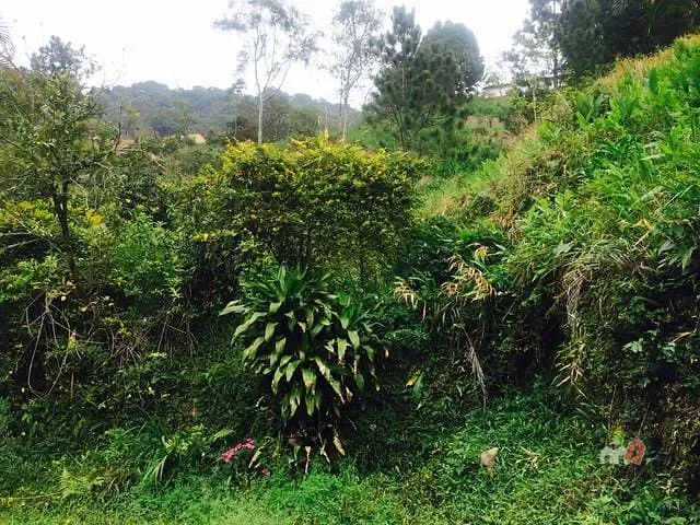 Casa com 93000m² 3 quartos e 1 banheiro, à venda, no bairro Mosela em Petrópolis