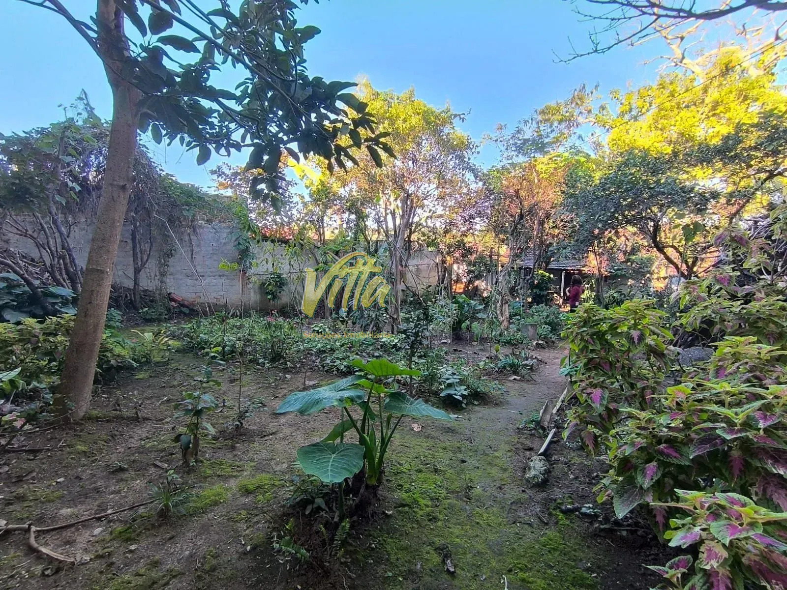 Casa, 3 quartos, 80 m² - Foto 13
