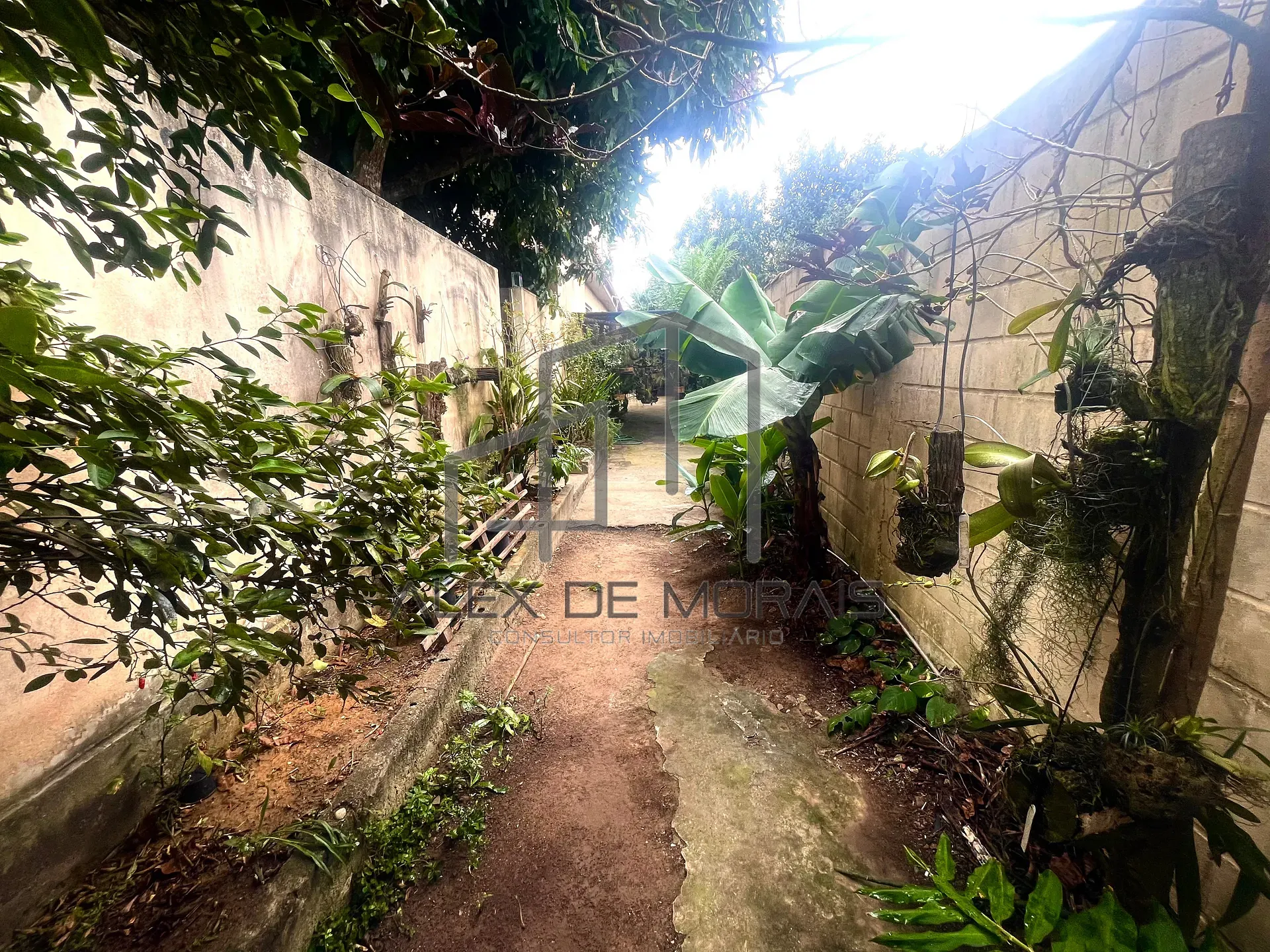 Casa, 3 quartos, 307 m² - Foto 16
