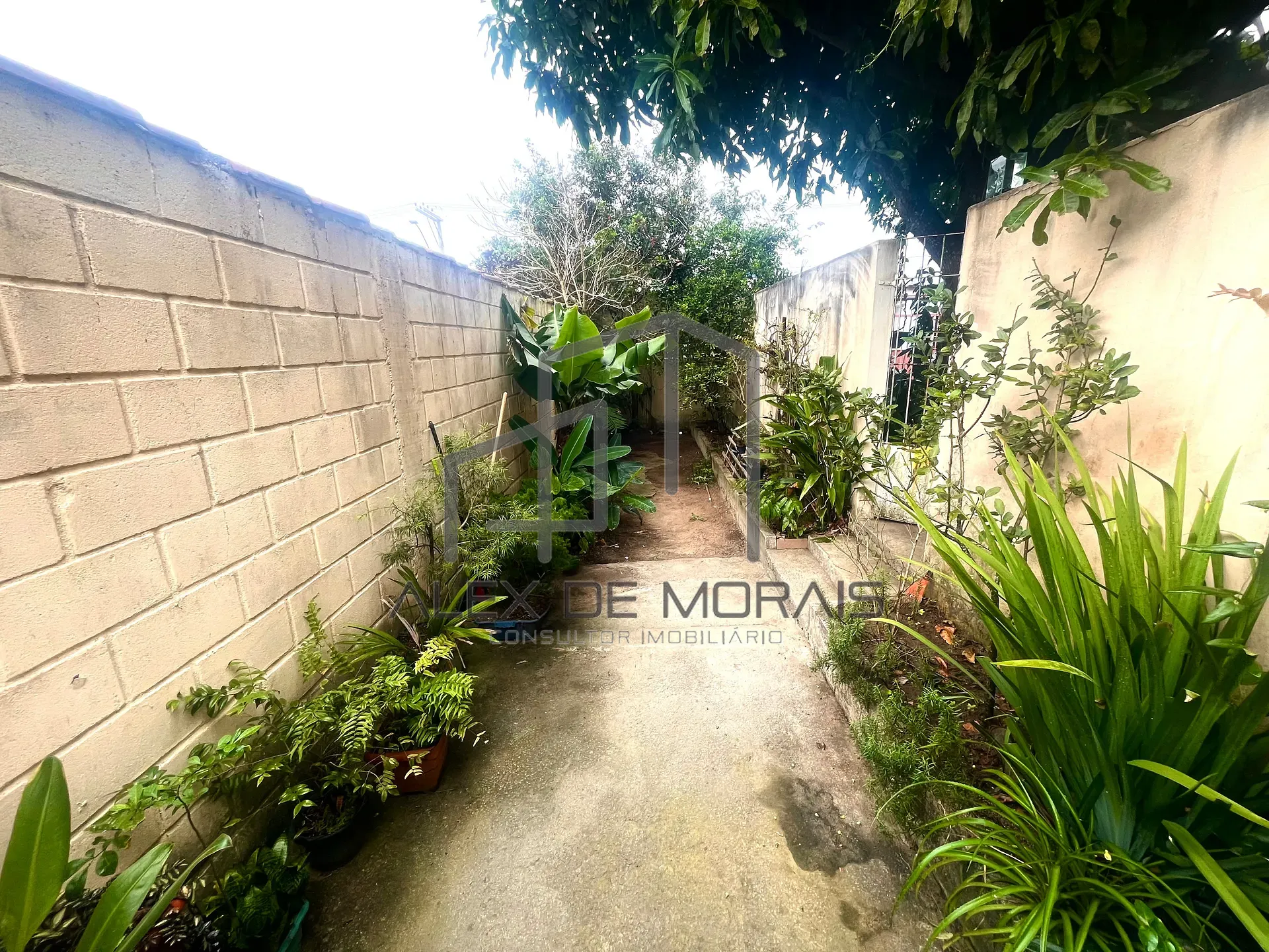 Casa, 3 quartos, 307 m² - Foto 15