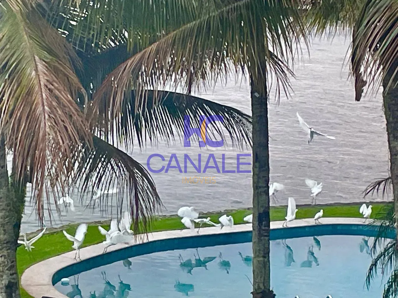 Casa, 5 quartos, 770 m² - Foto 3