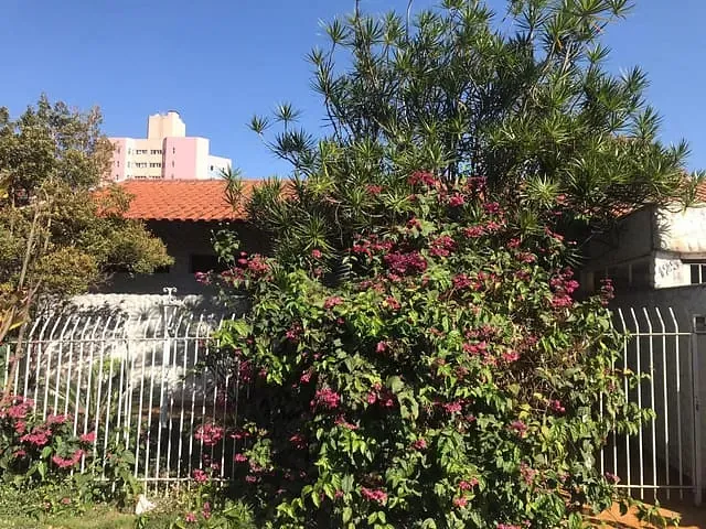 Casa com 504m² 3 quartos e 2 banheiros, à venda, no bairro Canadá em Londrina