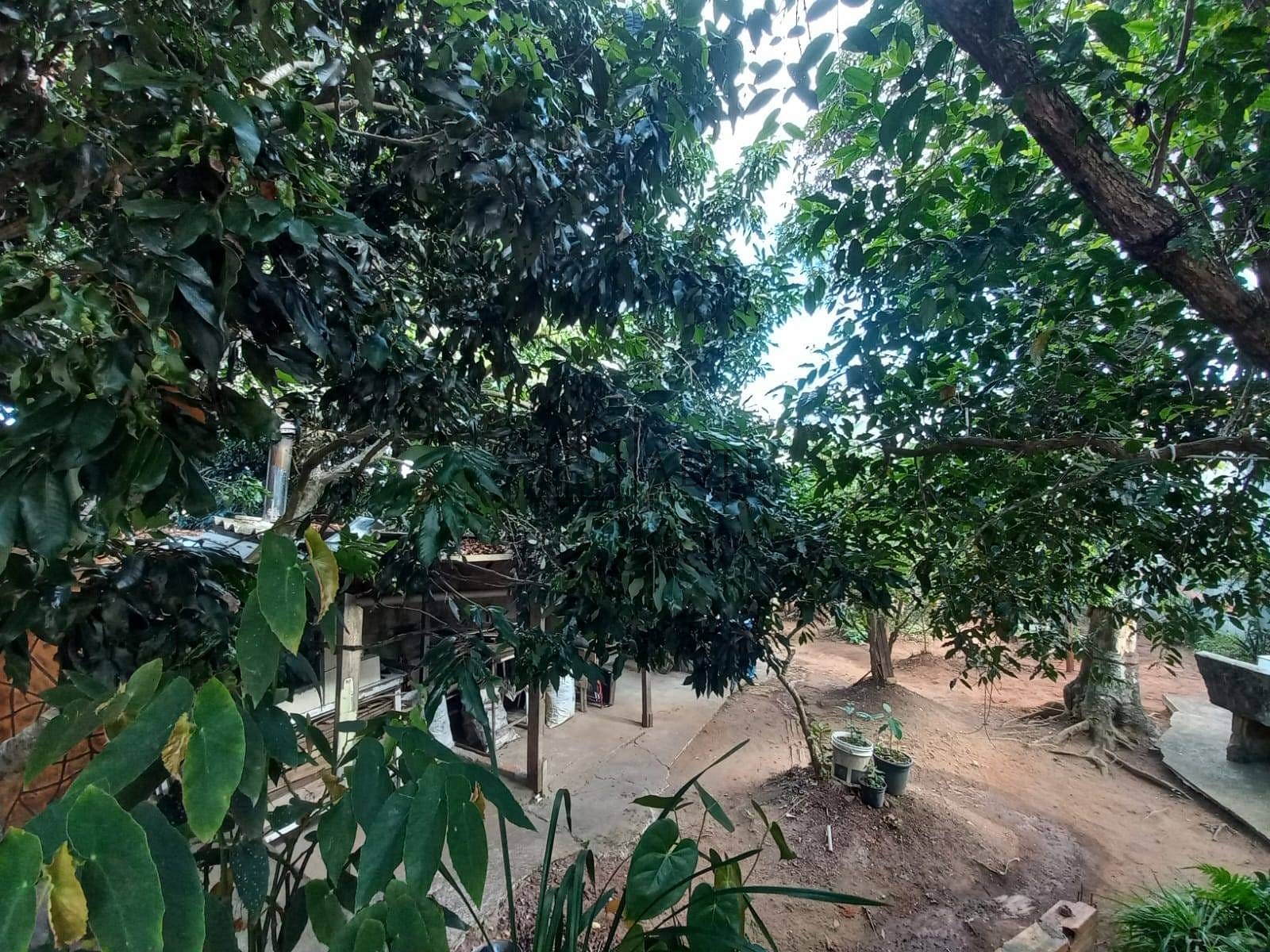 Casa, 2 quartos, 98 m² - Foto 29