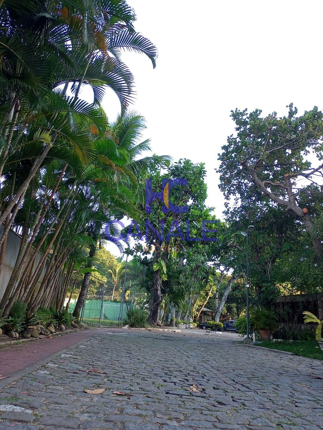 Casa, 4 quartos, 320 m² - Foto 59