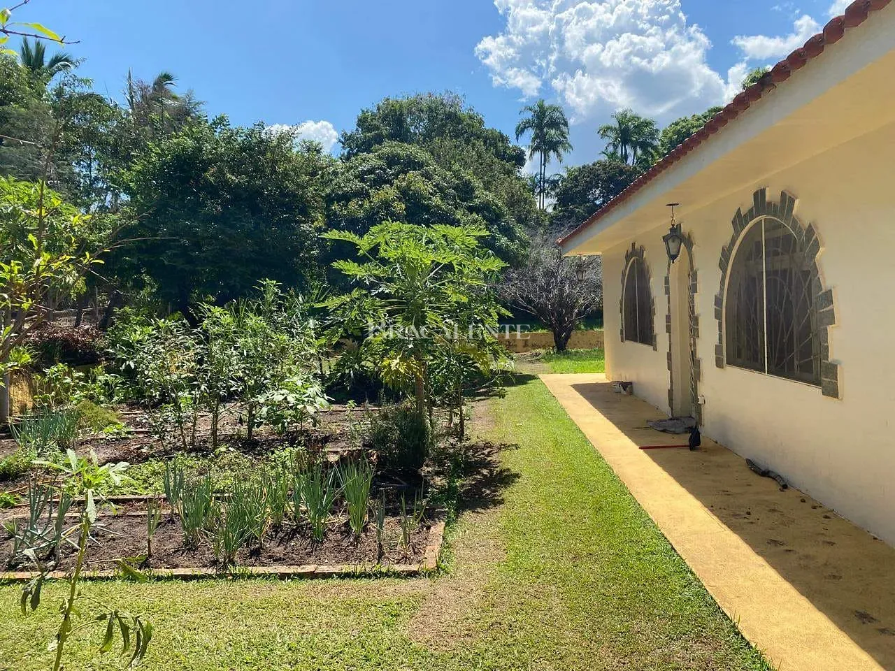 Casa, 4 quartos, 376 m² - Foto 19