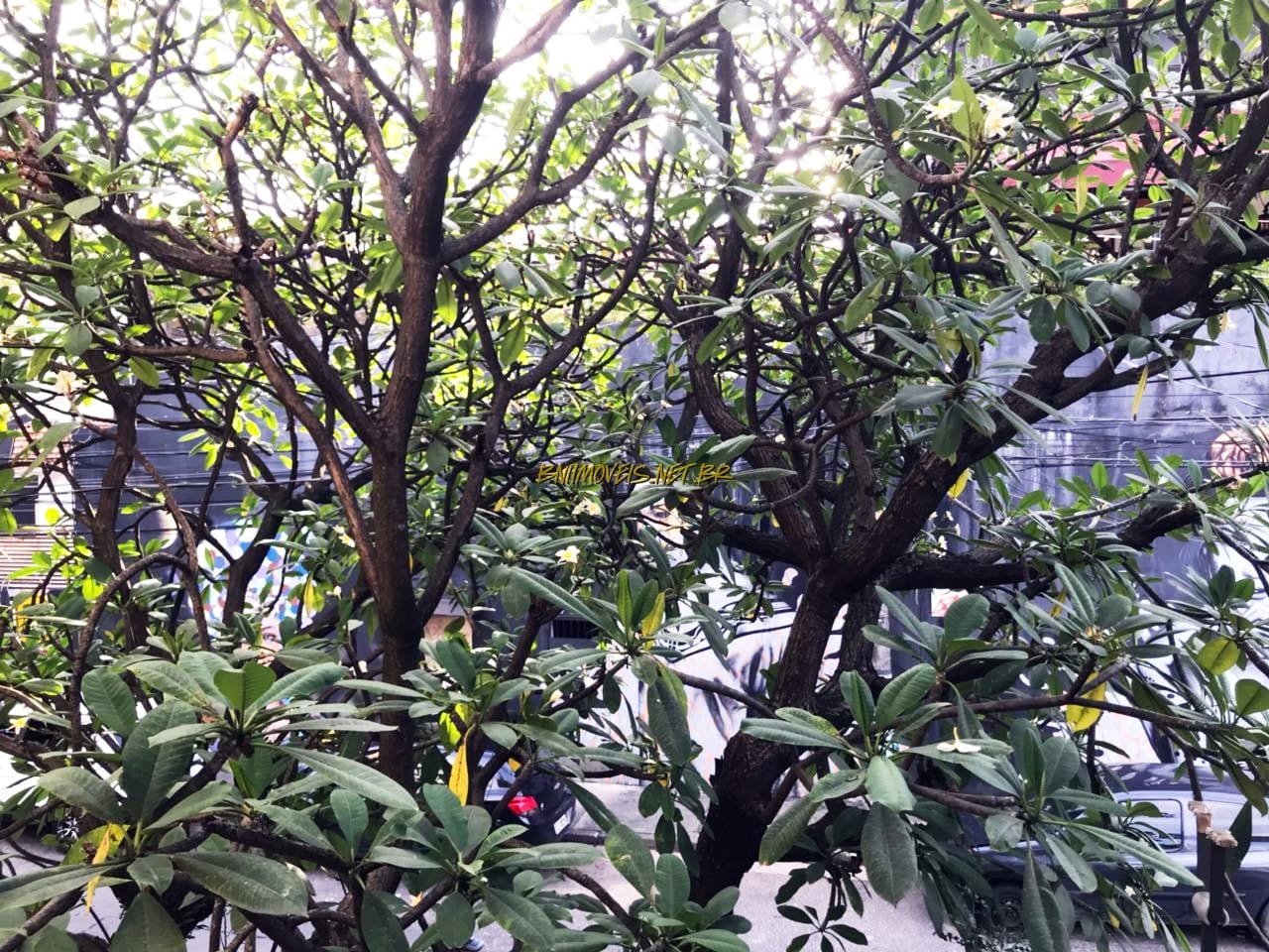 Casa, 2 quartos, 180 m² - Foto 1