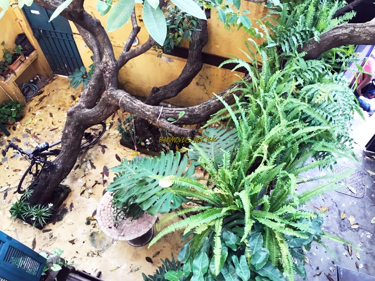 Casa, 2 quartos, 180 m² - Foto 24