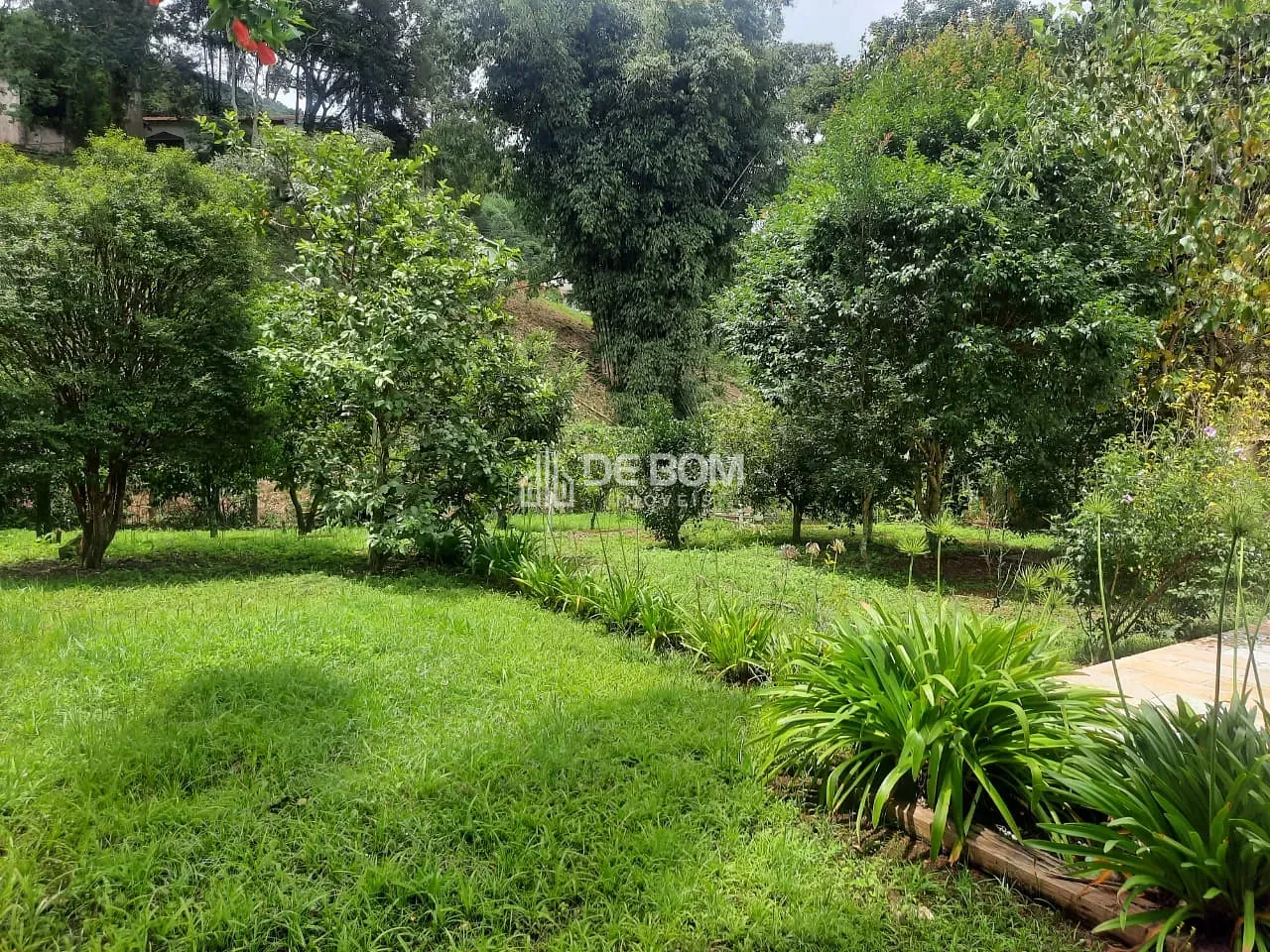 Casa, 3 quartos, 350 m² - Foto 2